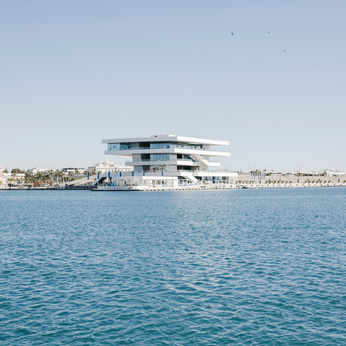 veles 7-veles-7-1200x1200.png