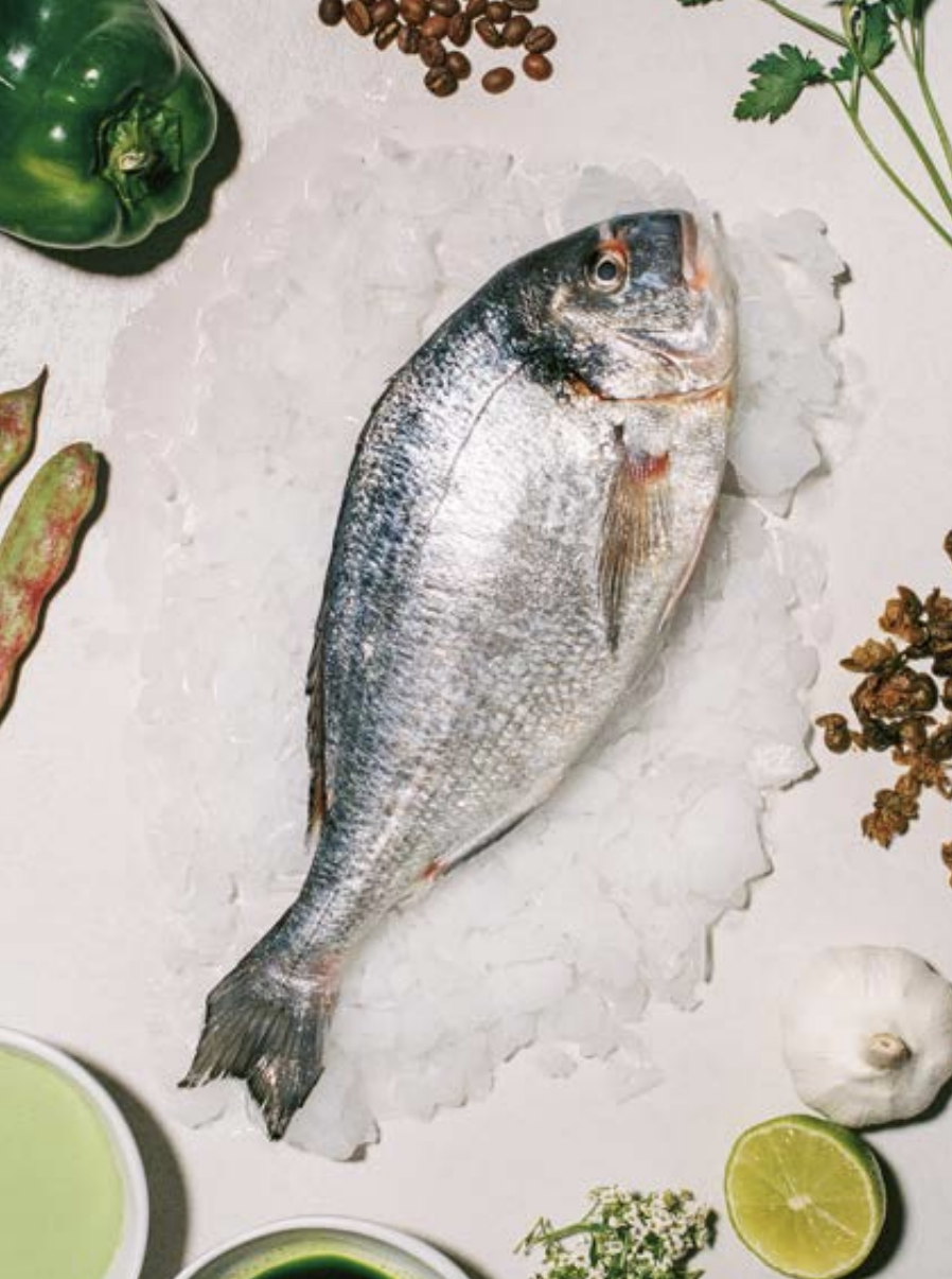 Recetario del Mar Mediterráneo Dorada La Maritima 01